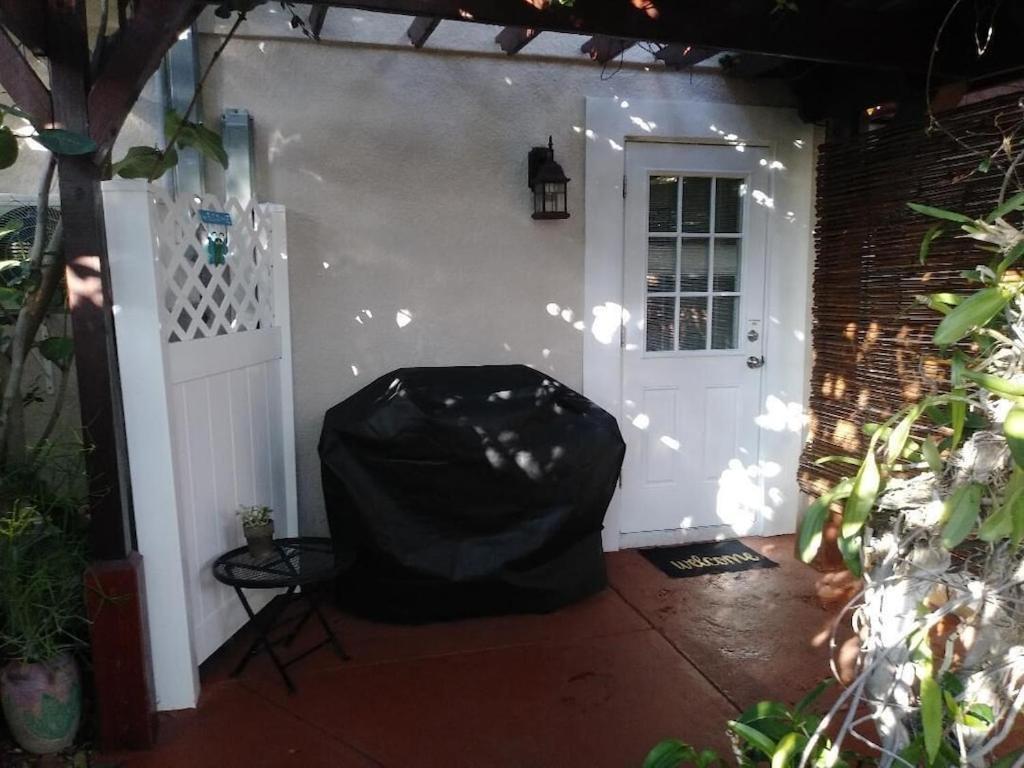 Tampa Bay Beautiful Apartment And Private Jacuzzi Eksteriør billede