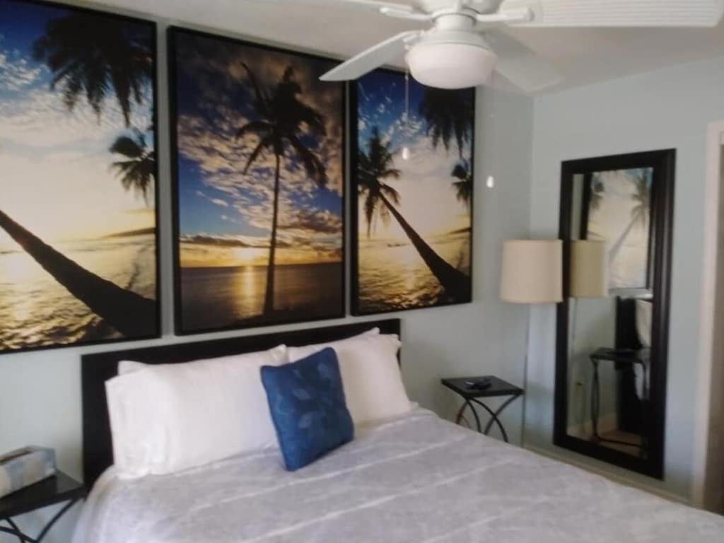 Tampa Bay Beautiful Apartment And Private Jacuzzi Eksteriør billede