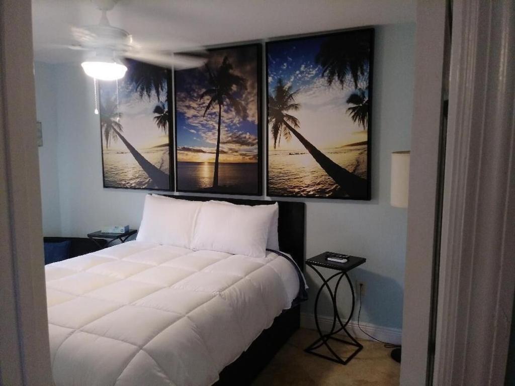 Tampa Bay Beautiful Apartment And Private Jacuzzi Eksteriør billede